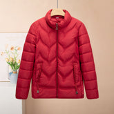 Stand Collar Cotton Clothing for Women