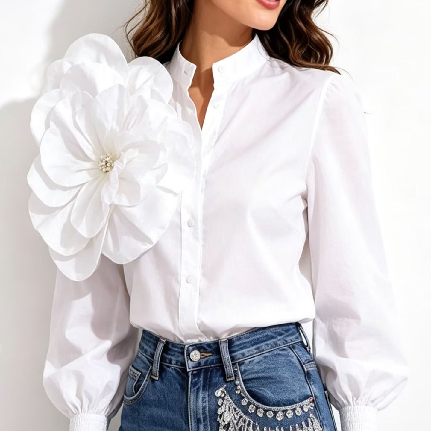 Lantern Sleeve Blouse for Women